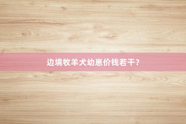 边境牧羊犬幼崽价钱若干？